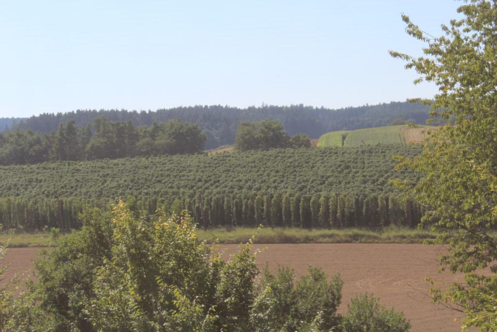 Holledau 3* Geisenhausen
